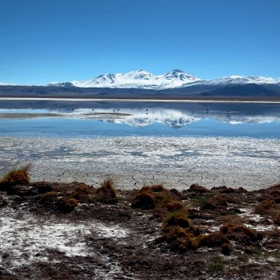 freepik-proyecto-sin-titulo-20250206213331WXuT